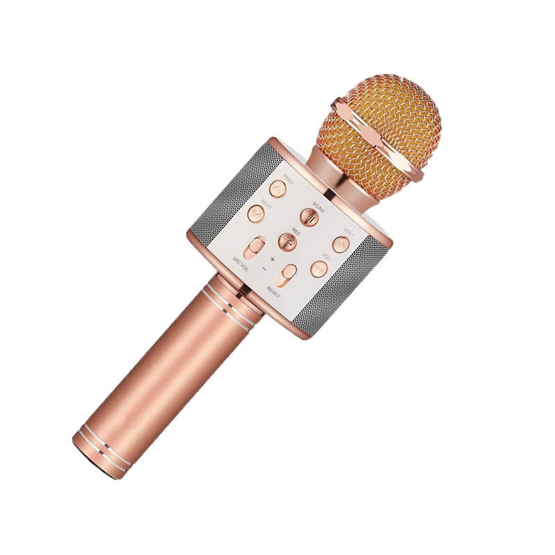 WS858 wireless Bluetooth microphone karaoke home karaoke handheld microphone integrated audio spot