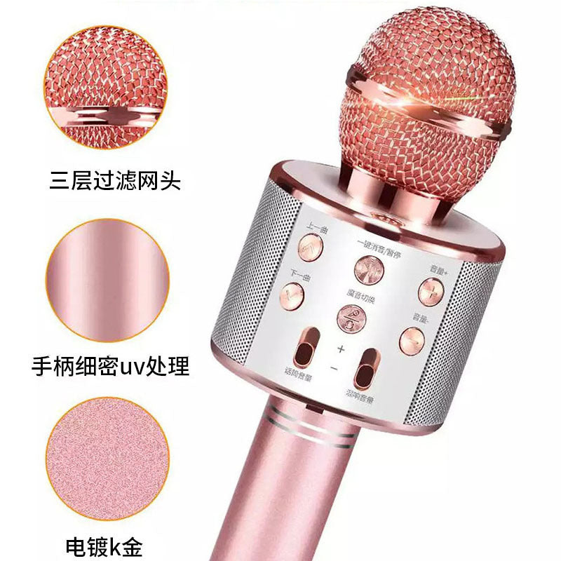 WS858 wireless Bluetooth microphone karaoke home karaoke handheld microphone integrated audio spot